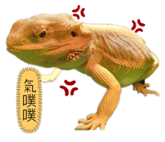 655445070