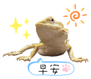 655445072