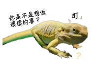 655445073
