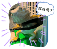 655445074