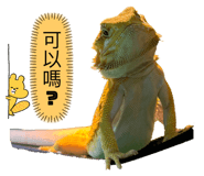 655445075