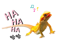 655445078