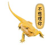 655445080