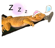 655445081