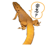 655445083