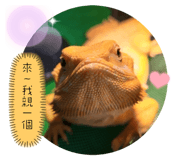 655445084