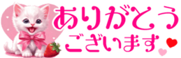 655447662
