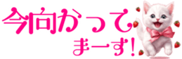 655447682