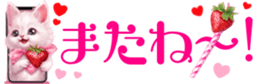 655447691
