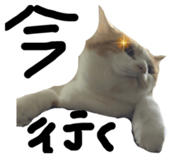 655447699