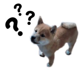 655448264