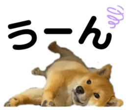 655448277