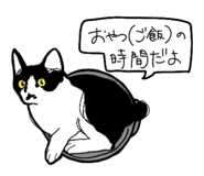655451399