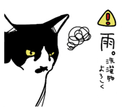 655451403
