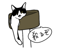 655451405