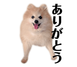 655452482