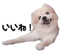 655452489