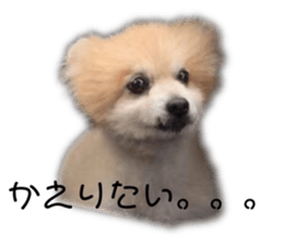 655452498