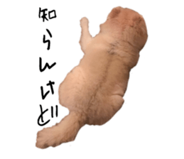 655452505
