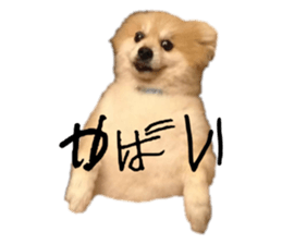655452506