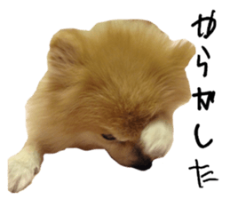 655452507