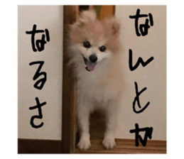 655452508