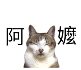 655452658