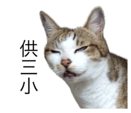 655452673