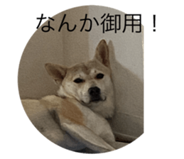 655453055
