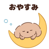 655453313