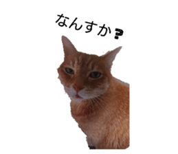 655460342