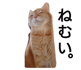 655460350