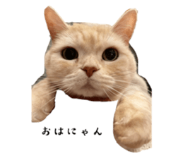 655461385