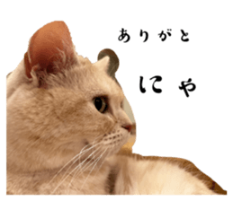 655461387