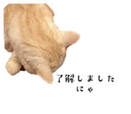 655461388