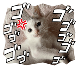 655466741
