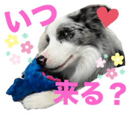655467216