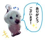 655472930