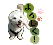 655472935