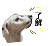 655472936
