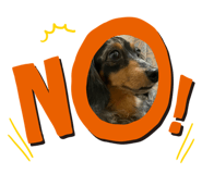 655474549