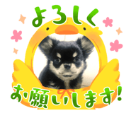 655474550