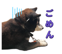655482212