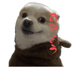 655482230