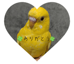655503758