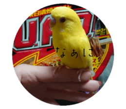 655503765