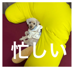 655511212