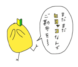 6555164