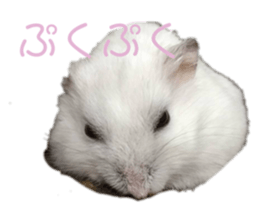 655528028