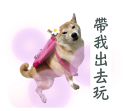 655529135